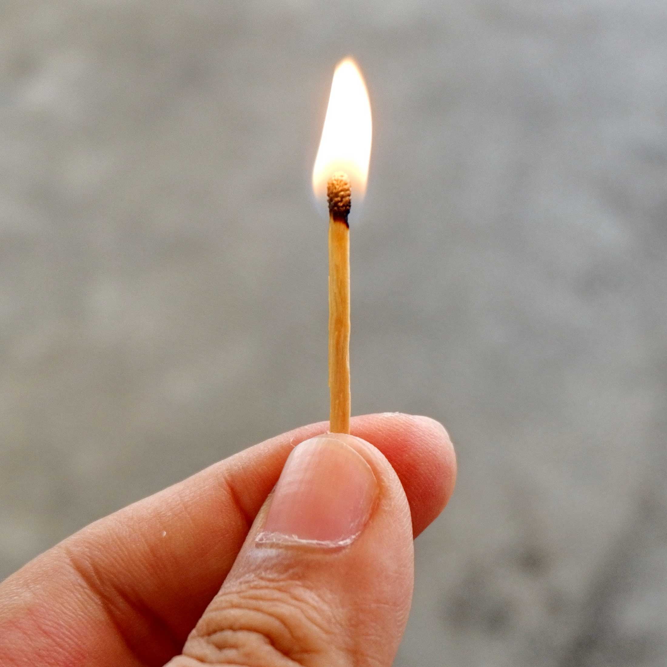 GoFire Waterproof Fire Starters 4 packs of 40 Matches for Outdoor Use, 160 Total
