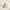 Lemon, variant on No Boundaries Contrast Stitch Triangle Swim Top, Sizes XXS -XXL