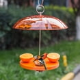 thumbnail image 7 of Kingsyard Oriole Bird Feeder for Outside With Big Dome Orange Fruit, Jelly, Mealworm,Nectar, 7 of 7