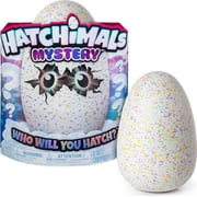 Hatchimals Mystery Egg, Hatch 1 of 4 Interactive Mystery Characters (Styles May Vary), Multicolor