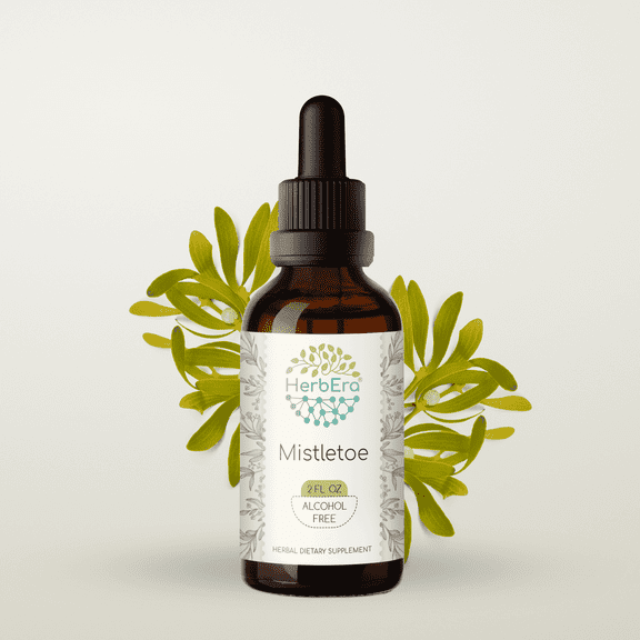HerbEra Mistletoe Tincture, Herbal Dietary Supplement for Cardiovascular Support, Mistletoe (Viscum album) Dried Herb Extract, Natural, Alcohol-Free, Drops 2 oz