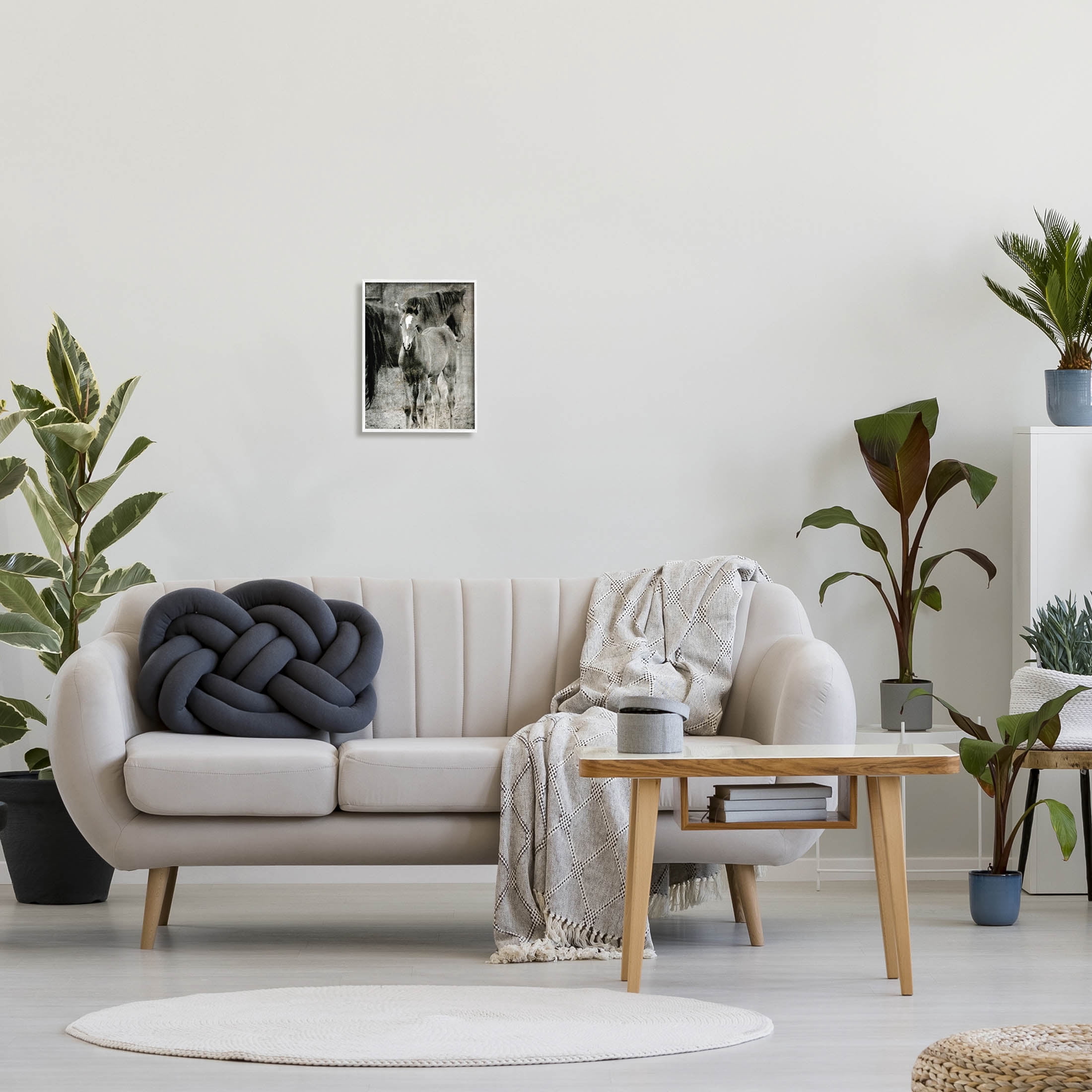 Vintage Foal Horse Farmland Animals & Insects Graphic Art White Framed Art Print Wall Art
