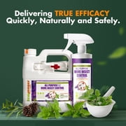EcoVenger All Purpose Home Insect Control 1/2 Gal with Trigger Sprayer, Roaches, Spiders, Ticks, Fast Kill, Lasting Prevention, Kill Eggs, Plant Extract Based & Non-Toxic