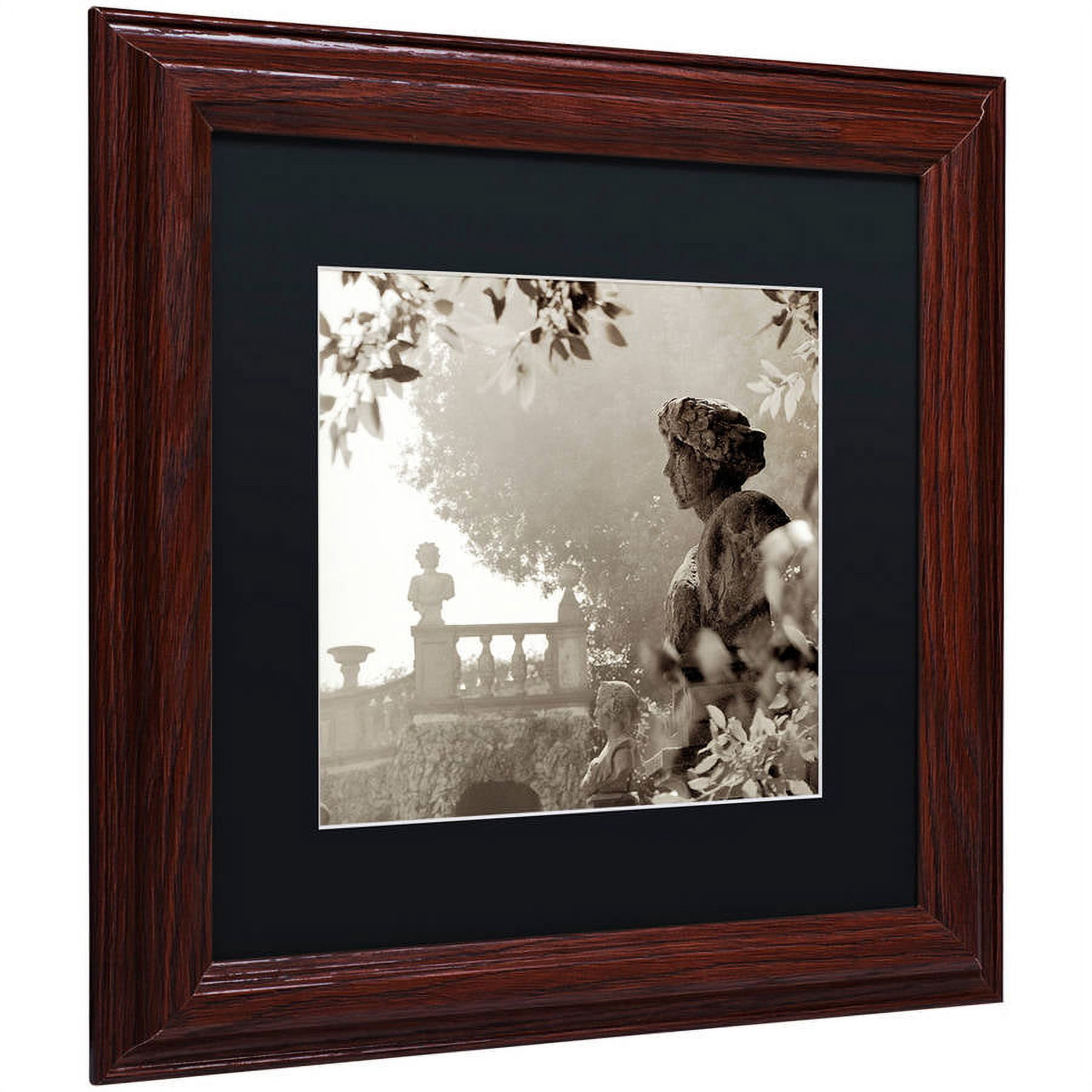Trademark Fine Art "Tuscany VIII" Canvas Art by Alan Blaustein, Black Matte, Wood Frame