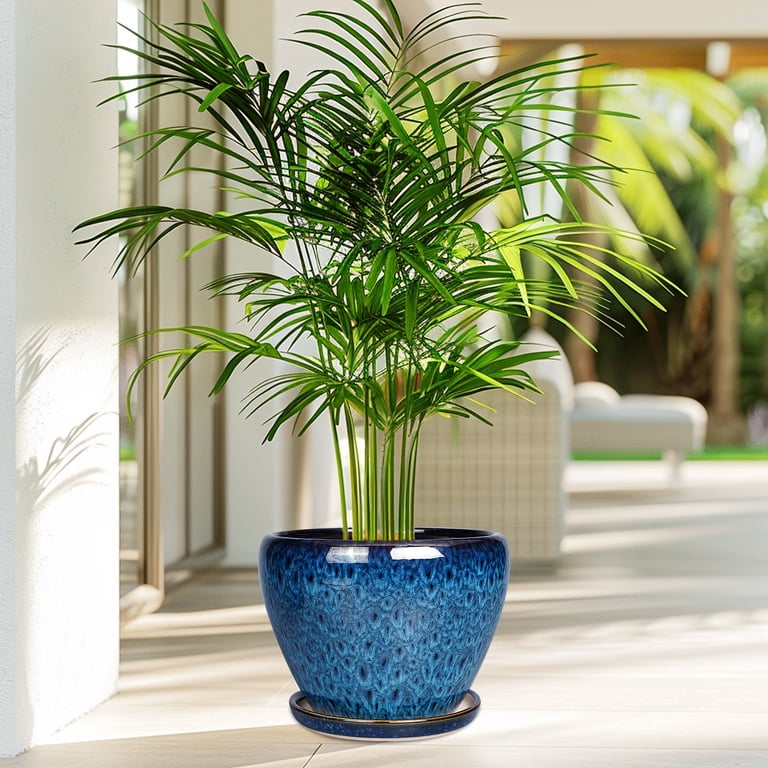 glazed outdoor plant pots Campania Coin Pot Planter, Tall, Set of 4 - 8416-23904