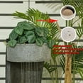 thumbnail image 3 of Outdoor Water Fountain Garden Curved Outdoor Fountains with Flower Pot Water Fountains with Warm Light 35''H Waterfall Fountain Indoor for Garden,Yard,Office,Home Decro, 3 of 16