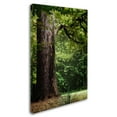 thumbnail image 2 of Trademark Fine Art "The old Trunk" Canvas Art by Philippe Sainte-Laudy, 2 of 3