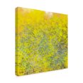 thumbnail image 2 of Trademark Fine Art 'Hive I' Canvas Art by Jason Johnson, 2 of 4