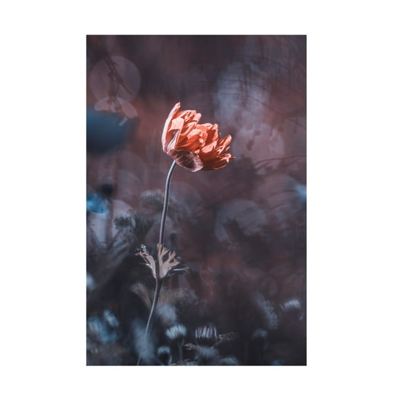 Trademark Fine Art Fabien BRAVIN Elegance Canvas Wall Art