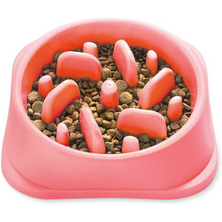 Puzzle Feeder Bowl - Coral Pink