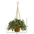 thumbnail image 2 of Nearly Natural 30" Plastic Mini Melon Artificial Plant in Hanging Basket UV Resistant, Green, 2 of 4