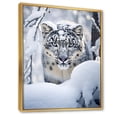 thumbnail image 2 of Designart "A Winter Portrait of a White Tiger II" Animals Floater Framed Canvas Wall Art, 2 of 7