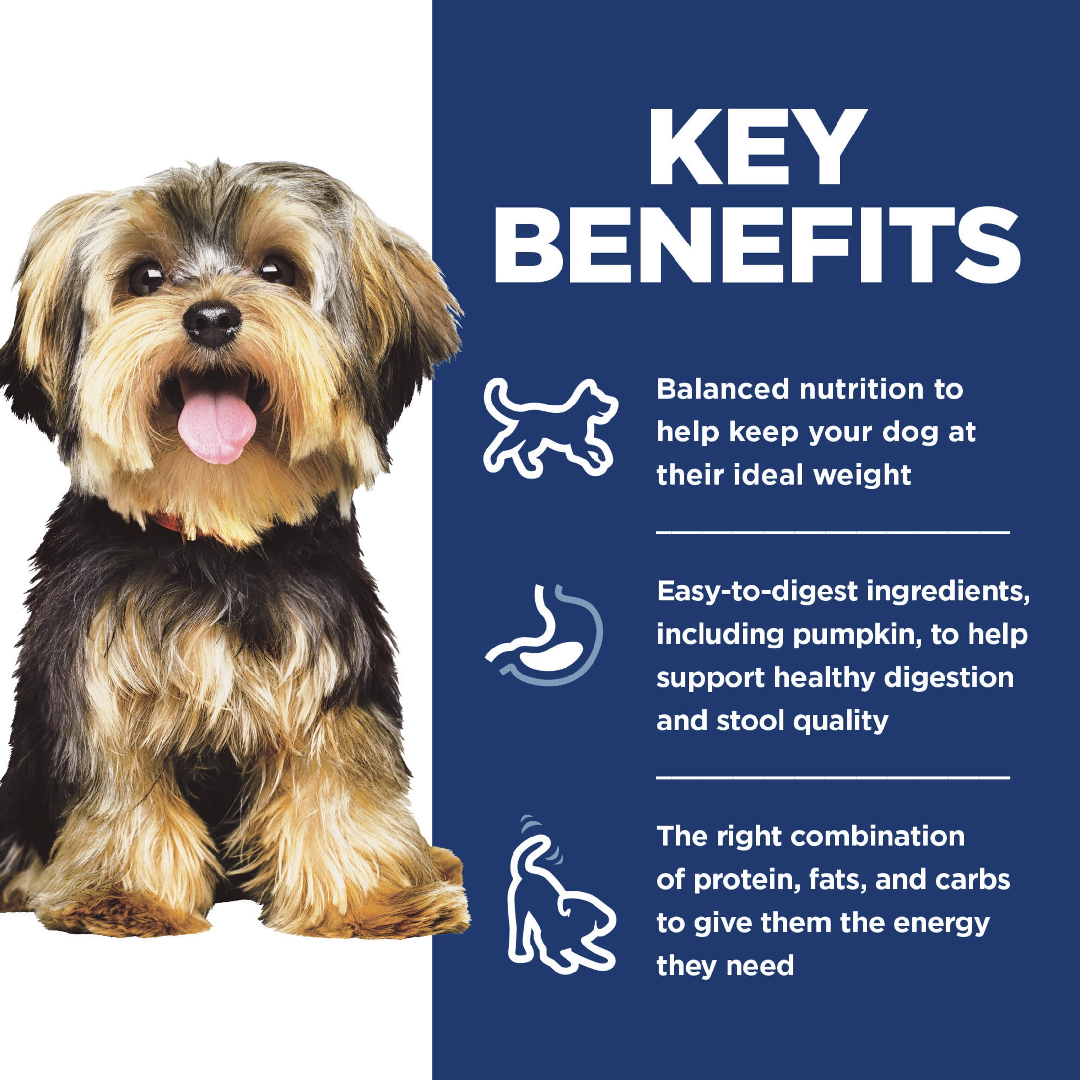 Hill's Science Diet Adult Small Paws Canned Dog Food, Savory Stew Beef & Vegetables, 3.5 oz, 12 Pack wet dog food