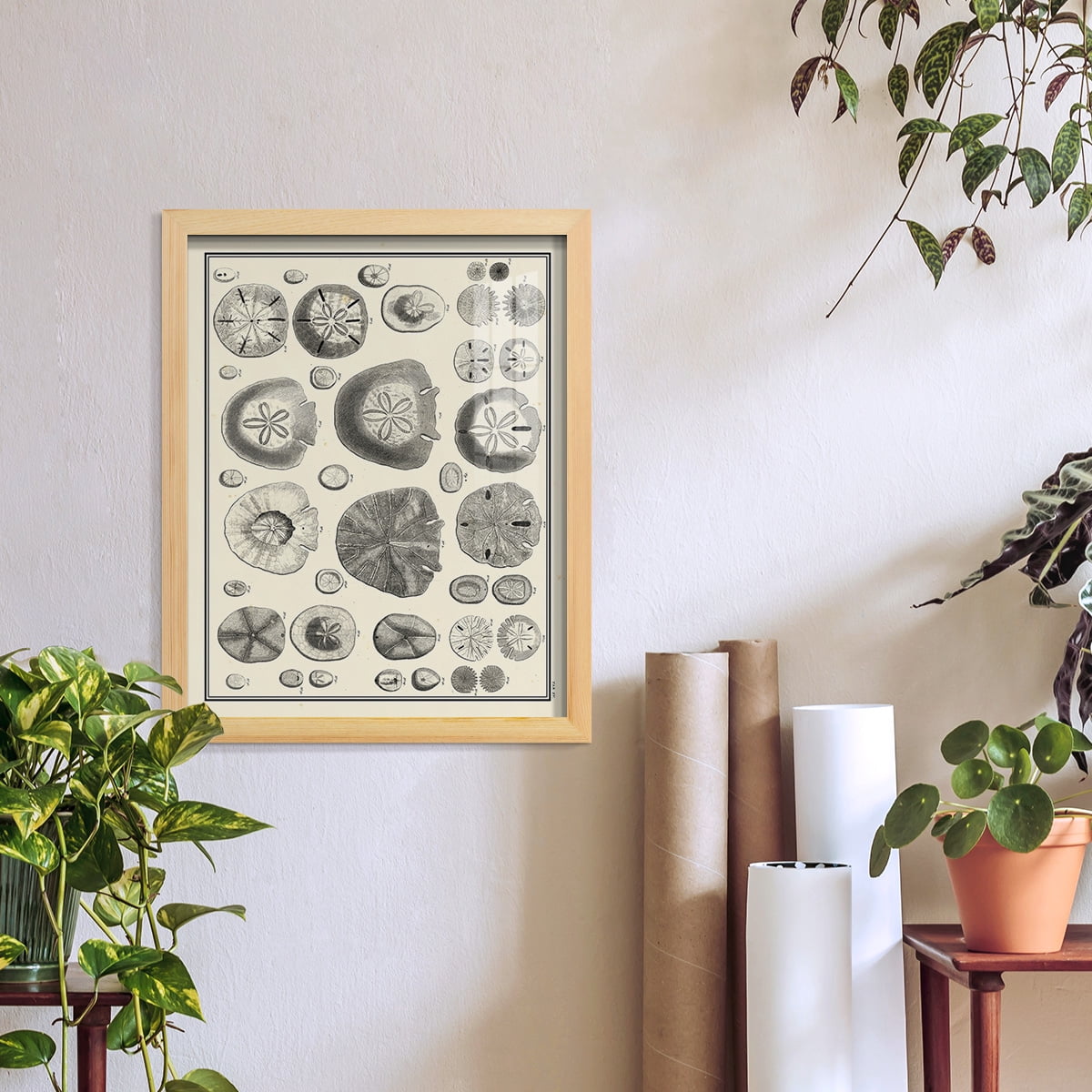 Aegean Collection II -Framed Print w/glass-Natural Wood