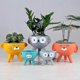 thumbnail image 3 of unique 1pcs Gardening potted plants, Flower Pot For Dorm Office Garden, 3 of 3