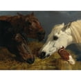 thumbnail image 2 of John Frederick Herring Snr. 14x11 Black Ornate Wood Framed Double Matted Museum Art Print Titled: Farmyard Friends (1847), 2 of 5