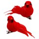 thumbnail image 3 of 10 Uds. Cardenales rojos con Clip adornos para árboles de Navidad con plumas artificiales B, 3 of 4