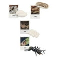 thumbnail image 1 of Baohd Figurines de Cycle de Vie Jouet Éducatif Réaliste pour Fêtes Fourmis, 1 of 9