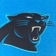 thumbnail image 2 of Banderole du Patrimoine de 44055 Carolina Panthers, 2 of 3