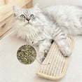 thumbnail image 5 of Cat Chew Toy,Pillow Catnip Toy for Cats Entertainment Scratching Pad Teeth Cleaning and Grinding Toy Vibrantes Lifes, 5 of 6