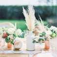 thumbnail image 3 of Plumas de hierba de pampa seca, 15 unidades de plantas secas naturales altas, tallos de flores artificiales de caña sintética para arreglos de boda, jarrón, puerta, corona, decoración, color blanco Sincero  Juguete, 3 of 6