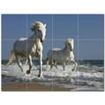 thumbnail image 1 of Horse Photo Ceramic Tile Mural Kitchen Backsplash Bathroom Shower 405258-XL43, 1 of 3