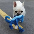 thumbnail image 7 of Dog Toys for Small Large Dogs Chameleon Plush Dog Squeaky Toy Puppy Chew Toys Bite Resistant Pet Toy For Dogs Squeaker Toys, 7 of 7