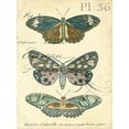 thumbnail image 2 of Zarris, Chariklia 12x14 White Modern Wood Framed Museum Art Print Titled - Custom Butterfly Ephemera III (GC), 2 of 4