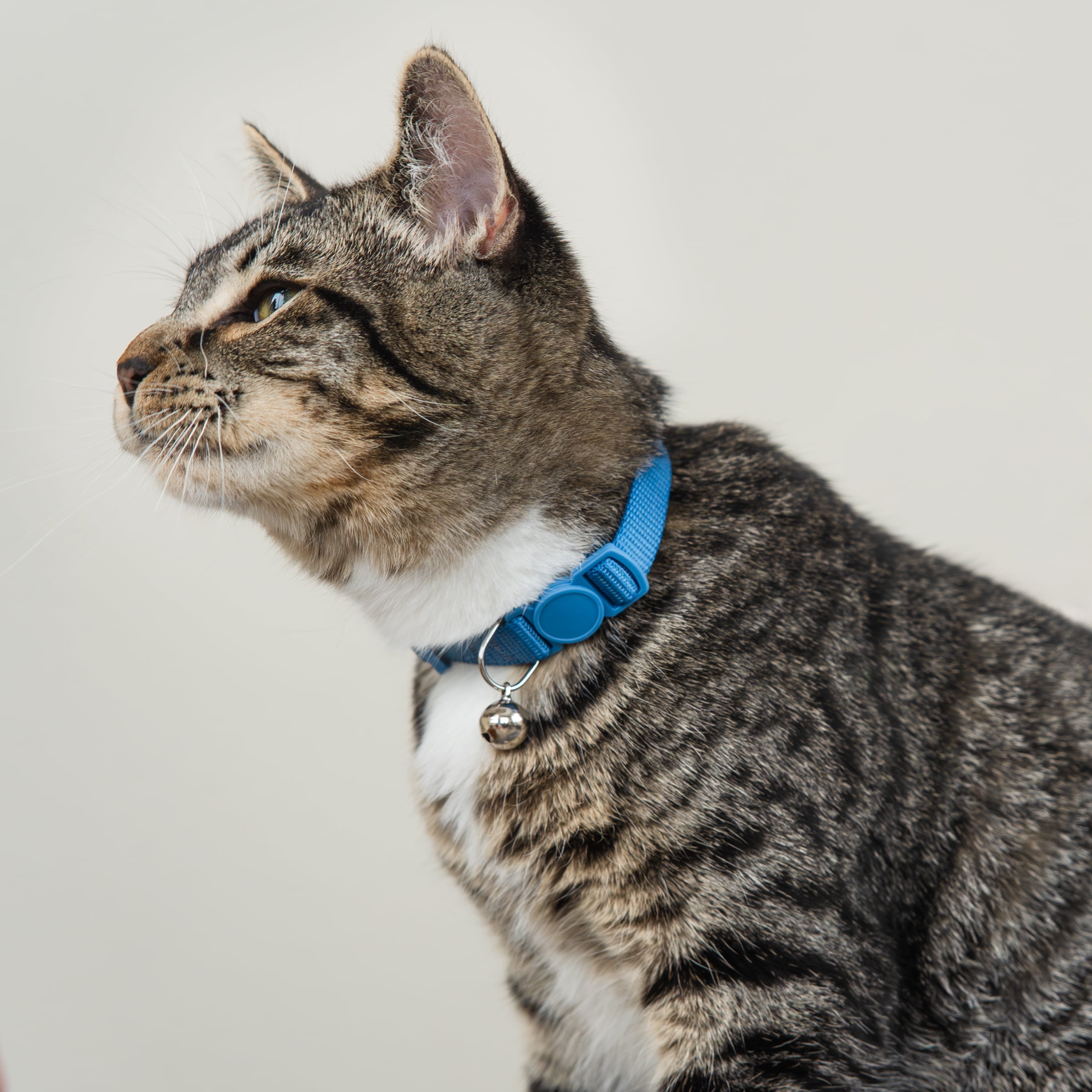 Vibrant Life, Solid Breakaway Fashion Cat Collar, Blue, One Size