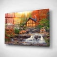 thumbnail image 2 of Epic Art 'The Colors of Life' by Chuck Pinson, Acrylic Glass Wall Art, 24"x16", 2 of 3