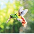 thumbnail image 1 of Hummingbird Aimant Double Face, 1 of 3