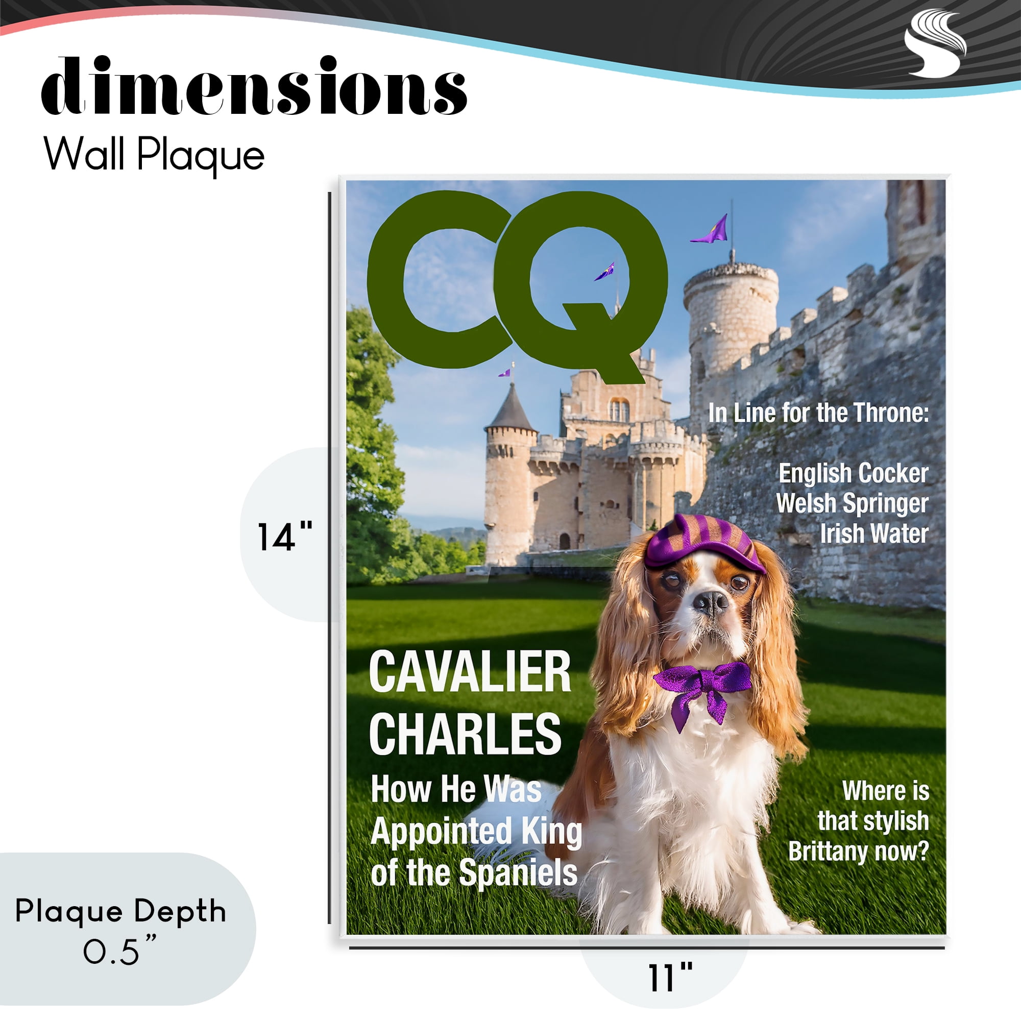 Stupell Industries Royal Cavalier Magazine Wall Plaque Art, design by Grotto Studios