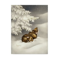 Trademark Fine Art 'Peace On Earth Rabbit' Canvas Art by Peggy Harris