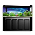 thumbnail image 3 of Póster Decorativo Duradero ANGGREK Para Acuario PVC, 3 of 8