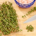 thumbnail image 2 of Fresh Thyme, 0.5 oz Clamshell, 2 of 3