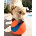 thumbnail image 3 of Pelota de Juguete Chuckit Kick Fetch Multicolor Pequeño para Perro, 3 of 9