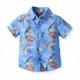 thumbnail image 2 of Odeerbi 1-9 Años Niños Camisa Hawaiana Verano Playa Camisas de Algodón Niños Manga Corta Blusa Tropical Flor Imprimir Camisa Ocio Tops, 2 of 9