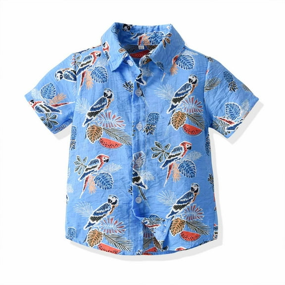 Delliss Toddler Boys Summer Trendy Hawaiian Loose T-Shirt Short Sleeve Boys Button Blouse Beach Top