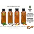 thumbnail image 3 of Aceite Esencial OLEUM VITAE Hierbabuena 100% Puro y Orgánico Certificado USDA 15 ml, 3 of 8