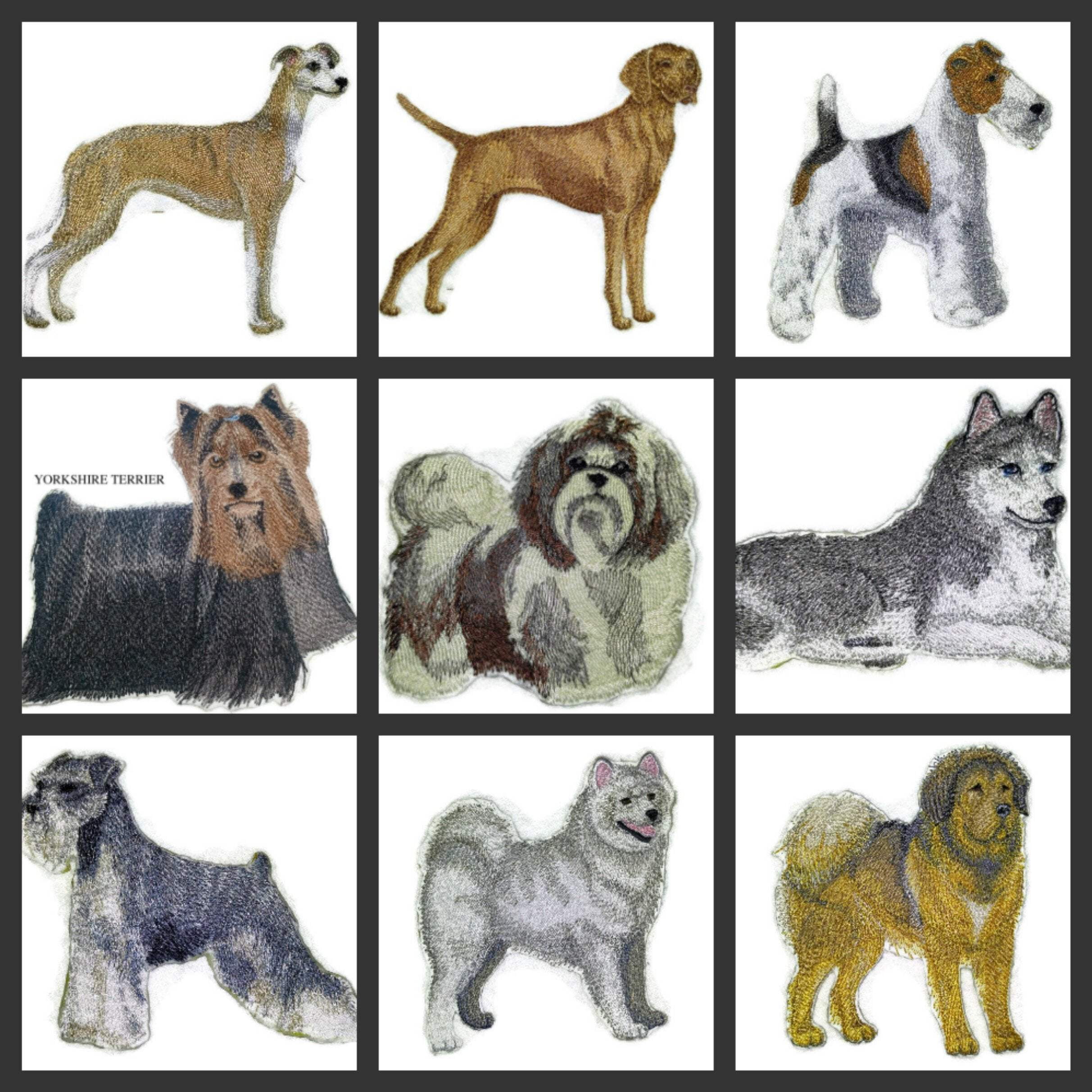 Custom Dog Portraits[Whippet] Embroidered Iron On/Sew Patch [5" x 4]]