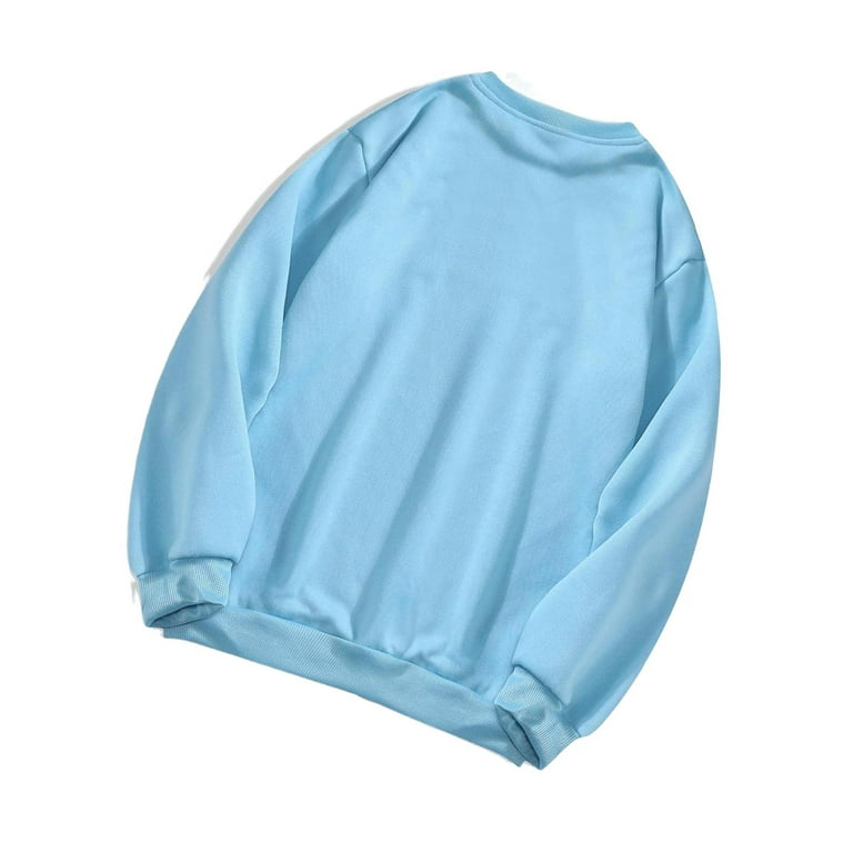 Casual Plain Round Neck Pullovers Long Sleeve Baby Blue Women