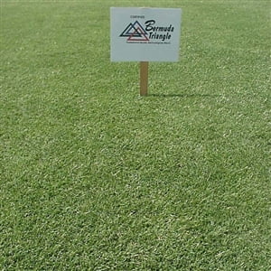 25 Lbs. Pennington Triangle Bermuda Grass Seed Covers 12,500 sq. ft. 