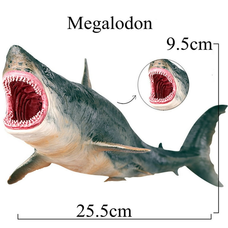 Megalodon Size Comparison To Great White