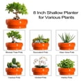 thumbnail image 4 of Succulent Bowl Planter 8 inch, Shallow Ceramic Pot with Drainage, Boho Shelf Decor for Indoor Greenery, Orange, 4 of 8