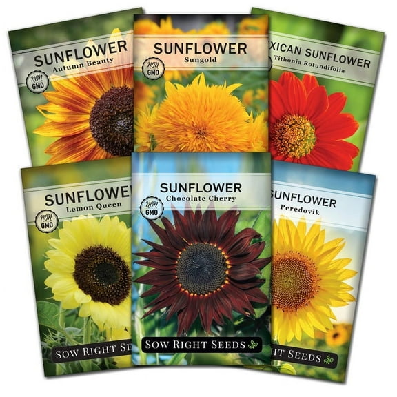 Large Sunflower Seed Collection - Non GMO Heirloom Varieties for your Flower Garden - 6 Count
