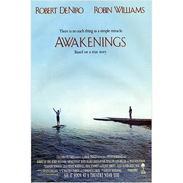Robert De Niro Robin Williams Awakenings Movie Poster Doctor Patient 24x36 Walmart Com Walmart Com