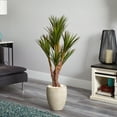 thumbnail image 3 of Nearly Natural 50” Yucca Artificial Tree in Planter UV Resistant (Indoor/Outdoor), 3 of 3