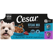 Cesar Filets in Gravy Beef Flavor Variety Pack Wet Dog Food Adult, 3.5 oz Easy Peel Trays, 12 Pack