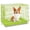 Spring Green, variant on Homey Pet Medium Dog Crate, Collapsible Metal Wire Dog Cage Indoor, 36 Inch Inside Dog Kennel Nano-Coated Copper Gold Crates with Pull-Out Floor Grid Tray, Double Doors Dual Locks, Portable Handle
