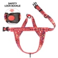 thumbnail image 2 of Didog No Pull Dog Harness with Soft Padded Handle Front Leading Safety Escape Proof Quick Fit Buckle, 2 of 7